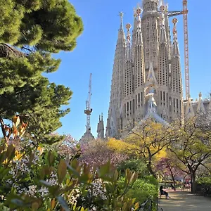 https://barcelona4seasons-sagrada-familia.topbarcelonahotels.com